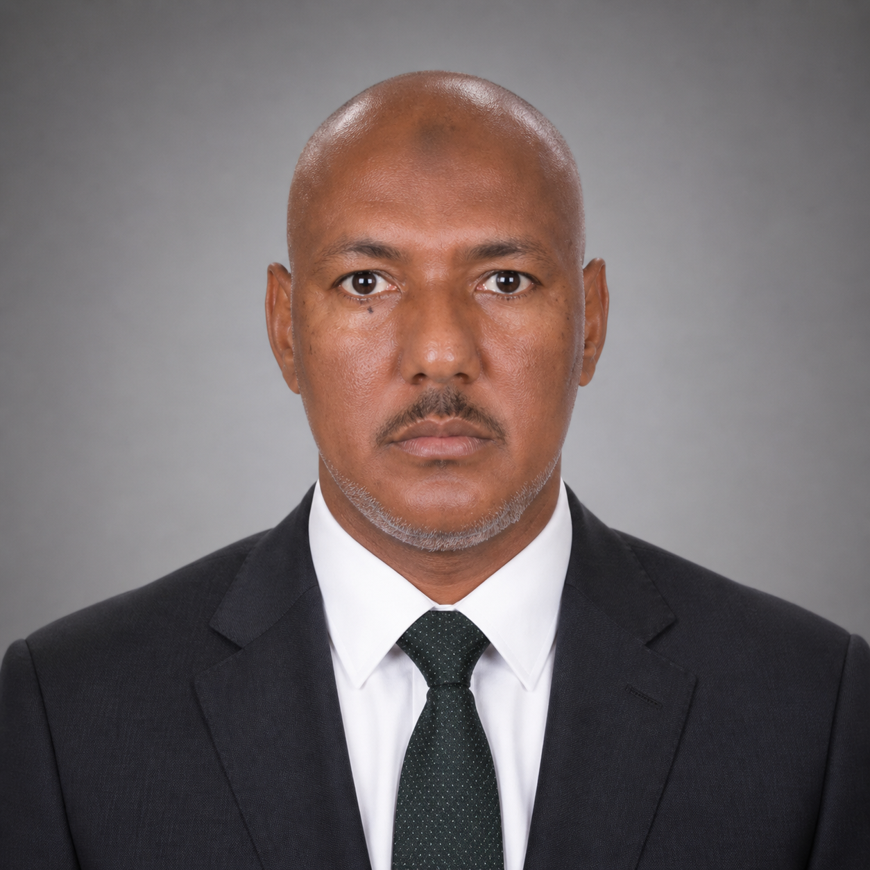 Dr. Saadeldin Ahmed Idris